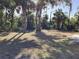 A vast backyard with mature trees, partial fencing and room for endless possibilities at 1488 Squaw Ln, North Port, FL 34286