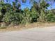 A vacant lot featuring mature trees and offering a serene setting for a future home or investment opportunity at 1488 Squaw Ln, North Port, FL 34286