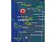 Informational map showcasing the property's proximity to local amenities and popular destinations at 2002 Central Ave, Sarasota, FL 34234