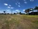 Spacious yard with tropical foliage and palm trees. The space is great for backyard cookouts at 2500 Aquilos Ct, Port Charlotte, FL 33952