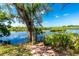 Backyard view of the water with trees and a dock entryway creating a natural and serene view at 31037 Prairie Creek Dr, Punta Gorda, FL 33982