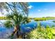 Backyard view of the water with trees creating a natural and serene view from the dock at 31037 Prairie Creek Dr, Punta Gorda, FL 33982