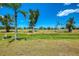 Lush green backyard with mature trees and a clear blue sky, perfect for outdoor activities and enjoying the natural scenery at 142 Rotonda Cir, Rotonda West, FL 33947
