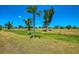 Large grassy yard with a palm tree and mature trees at 142 Rotonda Cir, Rotonda West, FL 33947