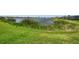 Scenic view of the pond, featuring lush green grasses and natural surroundings at 17459 Palmetto Pass Ln, Punta Gorda, FL 33982