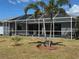 Lush backyard featuring a screened-in pool and mature palms, creating a serene and private outdoor space at 1025 Boundary Blvd, Rotonda West, FL 33947