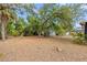 Leafy backyard showcasing mature trees at 1510 Orlando Blvd, Port Charlotte, FL 33952