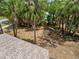 Aerial view of the backyard showing mature trees surrounding the property at 1510 Orlando Blvd, Port Charlotte, FL 33952