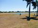 A serene backyard view featuring a tranquil lake, lush landscaping, and majestic palm trees, offering a peaceful retreat at 2386 Greenland Ct, Punta Gorda, FL 33983