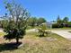 Beautiful front yard with lush green grass and tropical trees. Also features a long driveway at 700 Dolphin Pkwy, Punta Gorda, FL 33950