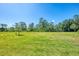 Sprawling green backyard with well-maintained lawn, mature trees, and a clear blue sky at 10995 Pinot Dr, Venice, FL 34293