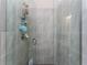 Close up of the tiled shower with glass door, a shower caddy and nice fixtures at 17924 Corkwood Bend Trl, Punta Gorda, FL 33982