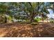 Well-maintained yard with mature trees providing ample shade, creating a serene and inviting outdoor space at 4009 Yucatan Cir, Port Charlotte, FL 33948