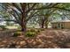 Lush yard featuring mature trees offering shade, enhancing the property's curb appeal and creating a tranquil outdoor setting at 4009 Yucatan Cir, Port Charlotte, FL 33948