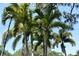 Lush palm trees surround the property, offering tropical landscaping and shade at 5301 Linksman Pl, North Port, FL 34287