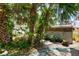 Back yard with a shed, landscaping and green plants at 12018 Saragossa Ln, North Port, FL 34287