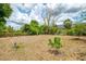 Large, private backyard with mature trees, providing ample space for recreation and relaxation at 12018 Saragossa Ln, North Port, FL 34287