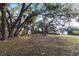 Spacious backyard with mature trees providing ample shade and privacy for outdoor activities and relaxation at 14534 Keene Ave, Port Charlotte, FL 33953