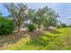 Large backyard featuring mature trees and lush green space offering serenity and natural beauty at 1513 Urmey Ln, North Port, FL 34286