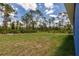 Lush green backyard surrounded by tall trees, offering a private and serene outdoor space for relaxation at 27444 Corinthian Dr, Punta Gorda, FL 33955