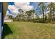 Expansive backyard with lush green grass and mature trees, offering privacy and space for outdoor activities at 27444 Corinthian Dr, Punta Gorda, FL 33955