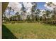 Large grassy backyard with privacy offered by the surrounding mature trees at 27456 Corinthian Dr, Punta Gorda, FL 33955