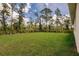 Lush green backyard surrounded by mature trees offering privacy at 27456 Corinthian Dr, Punta Gorda, FL 33955