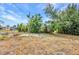Spacious backyard with mature trees, perfect for recreation and outdoor activities at 3380 Elkcam Blvd, Port Charlotte, FL 33952