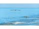 Beautiful water view with birds in flight at 857 Seabrooke Dr, Englewood, FL 34223