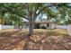 Backyard with a screened-in pool and mature trees providing shade at 3021 Toluca Ter, North Port, FL 34286