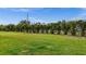 Expansive backyard with lush lawn and beautiful landscaping provides a private outdoor space at 3941 River Bank Way, Punta Gorda, FL 33980