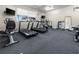 Amenity gym with exercise equipment including treadmills, ellipticals, and free weights at 3941 River Bank Way, Punta Gorda, FL 33980