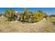 Tropical landscaping surrounds the pool and patio in this backyard at 279 Mariner Ln, Rotonda West, FL 33947
