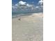 Scenic beach scene with a seagull standing on the sandy shore at 279 Mariner Ln, Rotonda West, FL 33947