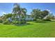 Well-maintained front yard with lush green grass and mature landscaping, enhancing the home's appeal at 329 W Grace St, Punta Gorda, FL 33950