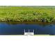 Waterfront dock with tranquil waters and verdant shoreline at 695 Macedonia Dr, Punta Gorda, FL 33950