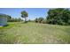 Expansive backyard with lush green grass and a mature palm tree at 1596 Hayworth Rd, Port Charlotte, FL 33952
