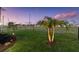 Well-maintained backyard with chainlink fence and young palm tree at 16032 Galiano Ct, Punta Gorda, FL 33955