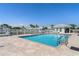 Community pool surrounded by palm trees and lounge chairs on a sunny day at 2521 W Marion Ave # 912, Punta Gorda, FL 33950