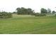 Lush green lawn and mature trees define this expansive backyard, perfect for outdoor activities at 26430 Rampart Blvd # 511, Punta Gorda, FL 33983