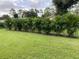 A row of green plants line the grassy backyard on a sunny day at 17130 Elder St, Port Charlotte, FL 33954