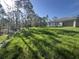 Expansive backyard featuring lush green grass and towering trees, perfect for outdoor activities at 27128 Aloha Dr, Punta Gorda, FL 33955