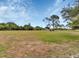 Expansive green land with scattered trees under a clear blue sky provides multiple outdoor possibilities at 6421 Grove Blvd, Punta Gorda, FL 33982