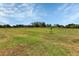 Expansive green yard with scattered trees under a bright blue sky at 6421 Grove Blvd, Punta Gorda, FL 33982