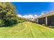 Spacious backyard showcasing green grass, mature trees, and well-kept landscaping at 11666 Parrotfish St, Venice, FL 34292