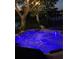 Relaxing hot tub featuring blue lights, landscaping and mature trees in the backyard at 155 Donna Ct, Punta Gorda, FL 33950