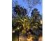 Beautifully landscaped yard featuring mature tropical plants, landscape lighting and meticulous detail at 155 Donna Ct, Punta Gorda, FL 33950