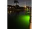 Night view of the waterfront featuring green underwater lights and a silhouette of a palm tree at 155 Donna Ct, Punta Gorda, FL 33950