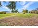 Expansive backyard with lush green grass, mature trees, and distant views of neighboring properties at 2442 Rio De Janeiro Ave, Punta Gorda, FL 33983