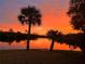 Beautiful sunset view over the water with palm trees in the foreground, making for a serene and picturesque setting at 4216 Bur St, Port Charlotte, FL 33948